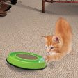 Spot Rockin  Plastic Assorted Cat Scratcher 1 pk Hot on Sale