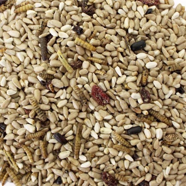 Wild Delight Bugs N  Berries Assorted Species Safflower Seeds Wild Bird Food 4.5 lb For Discount