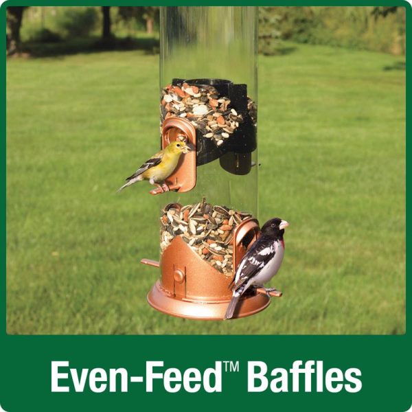 Nature s Way Easy Clean Wild Bird and Finch 3 qt Metal Plastic Tube Bird Feeder 4 ports Supply